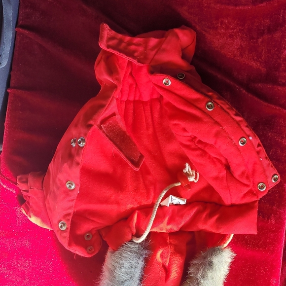 Parka 🐕 (S) - Picture 5 of 8